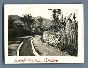 Palestine, Elisha's Spring at Jericho