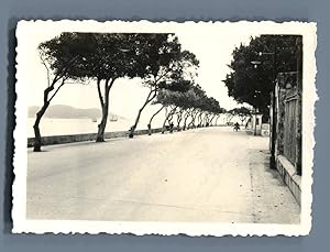 Bild des Verkufers fr Chine, Macao (Macau) zum Verkauf von photovintagefrance