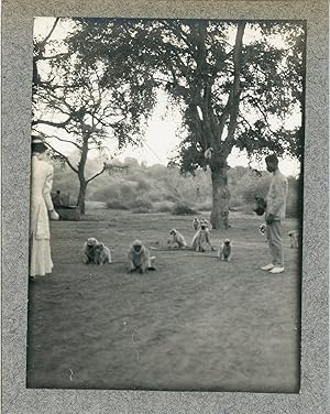 Burma, The Monkeys