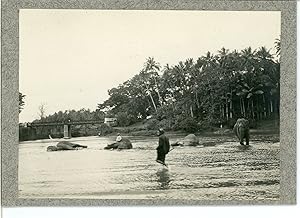 Burma, Elephants washing at the river