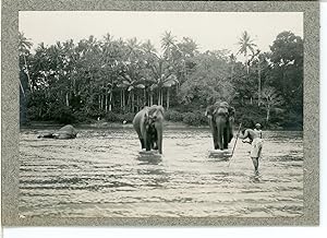 Burma, Elephant masters
