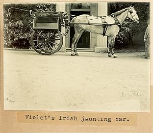 Ireland, Violet's Irish jaunting car