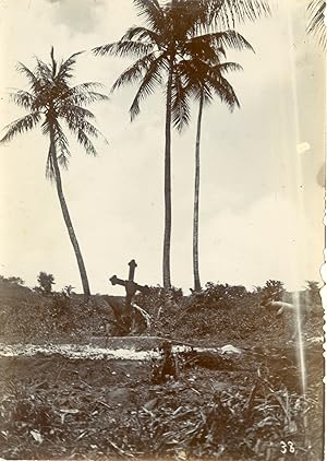Micronesia, At Ponape (Pohnpei), German Cemetery