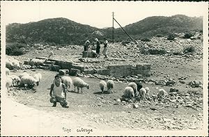 Yougoslavie, Route vers ?trpci. Une citerne (Bosnie Herzégovine), 1957