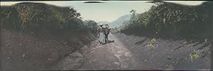 Japan, Panoramic View. A man and his donkey