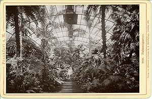 Deutschland, Frankfurt am Main. Palmengarten