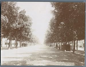 Tunisie, Tunis (    ), Avenue de la Marine (Jules Ferry)