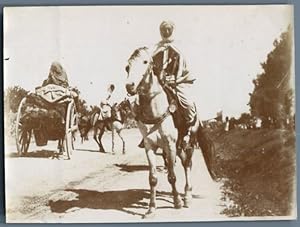 Tunisie, Avant la Fantasia, Arabe riche et sa monture