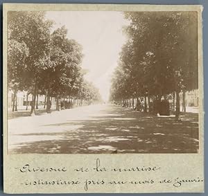 Tunisie, Tunis (    ), Avenue de la Marine (Jules Ferry)