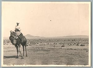 Libia, Colonia Tripolitania. Un Mehari Sahariana