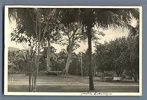 Ceylan, Colombo, Jardin Botanique