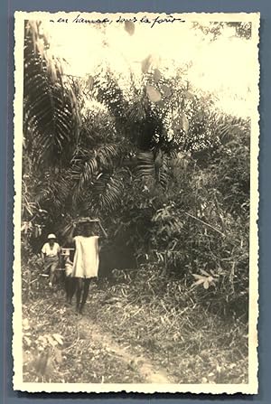 Côte d'Iivoire, En hamac sous la forêt