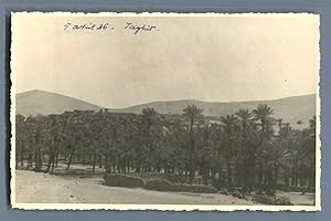 Algérie, Taghit (     ), Palmeraie