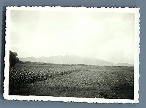 China, Landscape