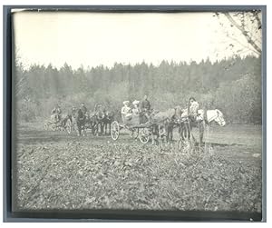 Norvège, Caravane des calèches à trois chevaux