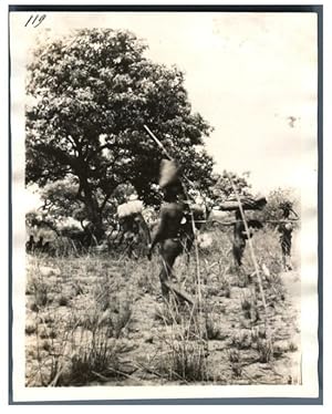 Tchad, Indigènes porteurs en marché