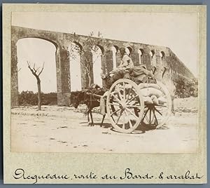 Tunisie, Tunis, Aqueduc romain route du Bardo. Arabat au voiture arabe