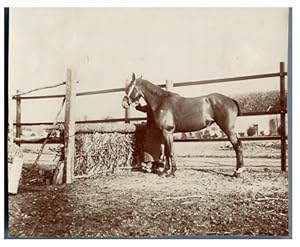 Equitation, vers 1900