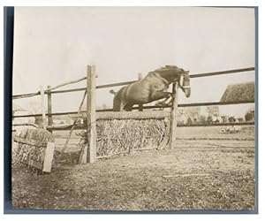 Equitation, vers 1900