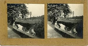 STEREO, France, La Moselle à Charmes