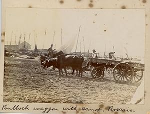 Argentine, Argentina, Rosario, Bullock wagon with sand