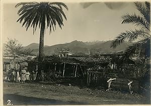 Habitations sur une île du Pacifique