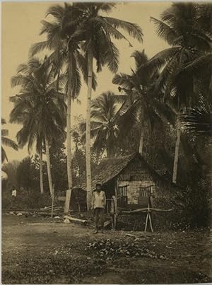 Malaisie, farmers