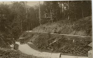 Malaisie, Albion mail car and Milnes-Daimler lorry on a typical section of the Pahang trunk road.