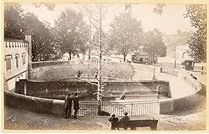 Suisse, Berne. La Fosse aux Ours, ca. 1875