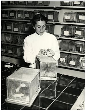 Decteur Bondioli, Institut Curie à Paris