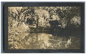 Syria, Park landscape