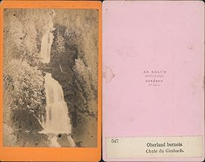 Braun, Suisse, Oberland Bernois, chutes du Giesbach