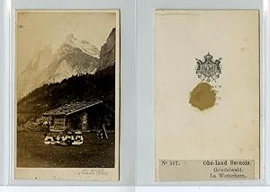 Le Grindelwald CDV vintage albumen carte de visite AD Suisse Braun Tirage 