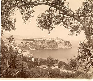 Monaco, Vue entre les oliviers