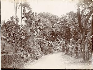 Nouvelle-Zélande, village Indigène