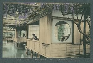 Japan, Wistaria Blossoms at Kabatai, Tokio