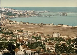 Alger. Vue panoramique prise de Mustapha.