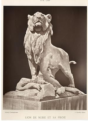 L. Baschet. France, lion de Nubie et sa proie