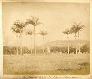 Martinique, Fort de France,