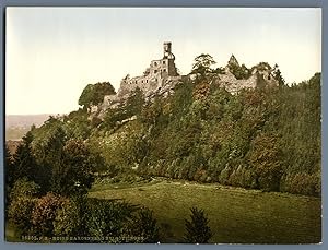 Göttingen. Ruine Hardenberg bei Göttingen.