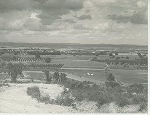 Bulgarie,la plaine de la Maritza, 1938