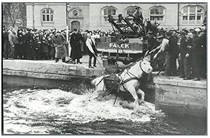 Danemark, Falck. Rescue operation of a horse