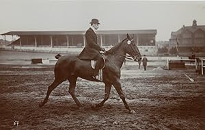 Zinsel, Darmstadt, un cavalier