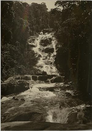 Malaisie, rapids