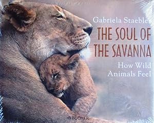 The Soul of the Savanna: How Wild Animals Feel
