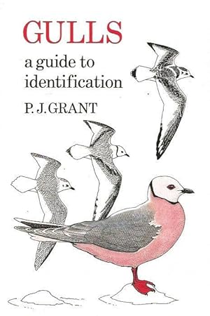 Bild des Verkufers fr Gulls. A guide to identification. zum Verkauf von C. Arden (Bookseller) ABA
