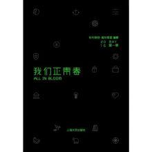 Imagen del vendedor de We are the youth(Chinese Edition) a la venta por liu xing