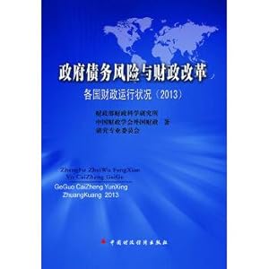 Image du vendeur pour Government debt risk and financial reform: finance operation condition (2013).(Chinese Edition) mis en vente par liu xing