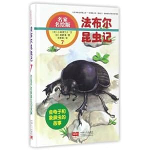 Immagine del venditore per Faber insects (7) the beetle and weevil (masters painted version)(Chinese Edition) venduto da liu xing