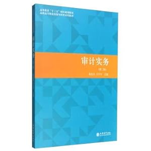 Seller image for Auditing practices (second edition)(Chinese Edition) for sale by liu xing